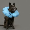 Collier de récupération pour chiens KVP Air-O  Bleu Gonflable (15-25 cm)