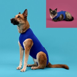 T-shirt de récupération pour animaux de compagnie KVP Bleu 21-24 cm