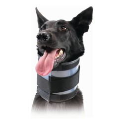 Collier cervical pour chiens KVP Noir (9-36 cm)