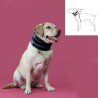 Collier cervical pour chiens KVP Noir (9-36 cm)