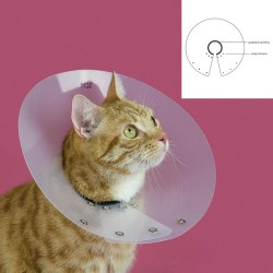 Collier élisabéthain pour chats KVP Saftshield Transparent 7-10 cm