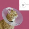 Collier élisabéthain pour chats KVP Saftshield Transparent 7-10 cm