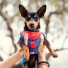 T-shirt pour Chien Spiderman