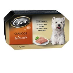 Alimentation humide Cesar (4 x 150 g)