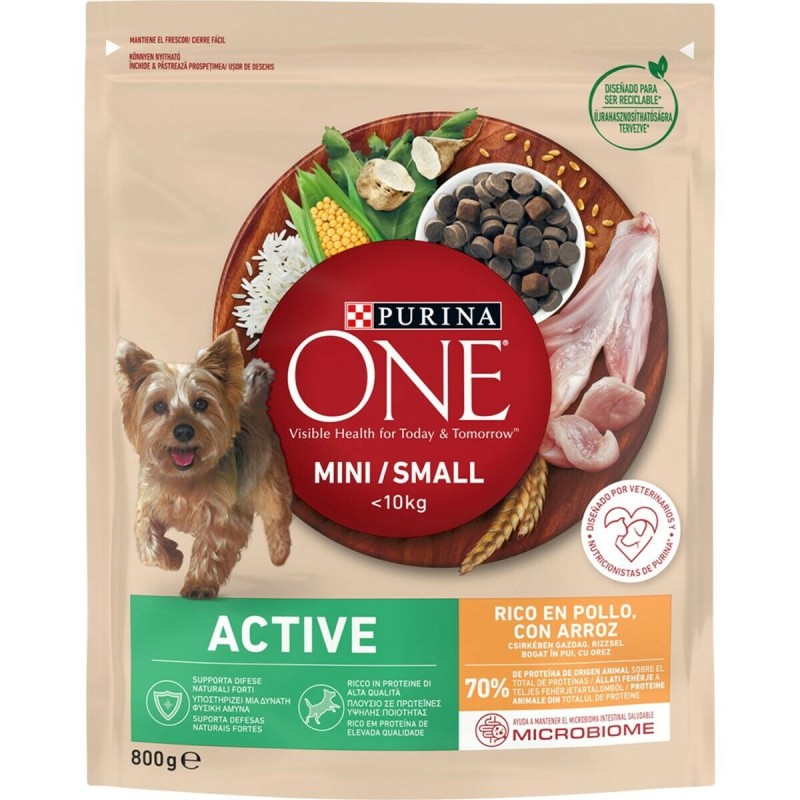 Nourriture Purina Active One (800 g)