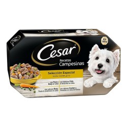 Alimentation humide Cesar (4 x 150 g)