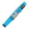 Collier pour Chien Red Dingo Lisse Turquoise (1,2 x 20-32 cm)