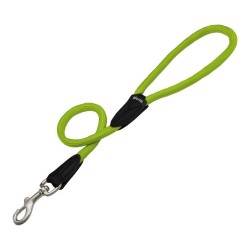 Laisse pour Chien Gloria 1 x 60 cm Vert