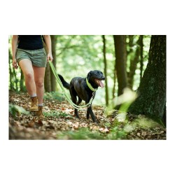 Laisse pour Chien Hunter HILO Citron (200 cm)