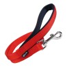 Laisse pour Chien Gloria 1.5 x 120 cm Rouge