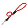 Laisse pour Chien Gloria 1.2 x 60 cm Rouge