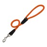 Laisse pour Chien Gloria 1.2 x 60 cm Orange