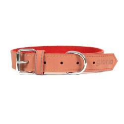 Collier pour Chien Gloria Oasis Rouge (1,5 x 40 cm)