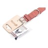 Collier pour Chien Gloria Oasis Rose (1,5 x 40 cm)