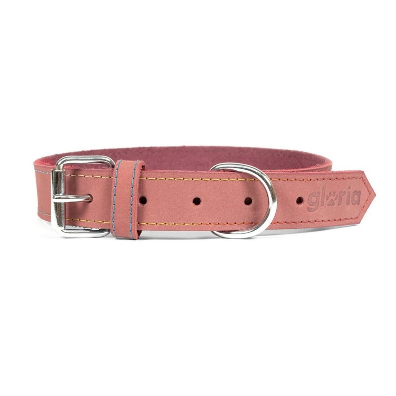 Collier pour Chien Gloria Oasis Rose (1,2 x 35 cm)