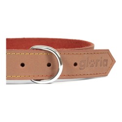 Collier pour Chien Gloria Oasis Marron (1,2 x 35 cm)