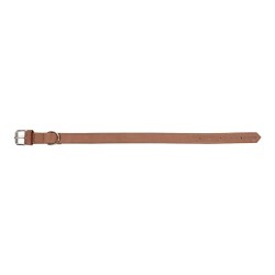 Collier pour Chien Gloria Oasis Marron (1,2 x 35 cm)