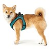 Harnais pour Chien Hunter Hilo-Comfort Turquoise Taille XS (35-37 cm)