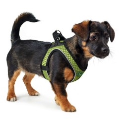 Harnais pour Chien Hunter Hilo-Comfort Citron Taille XS (35-37 cm)