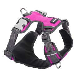 Harnais pour Chien Red Dingo Rembourré Fuchsia Taille XS