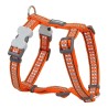 Harnais pour Chien Red Dingo Os Réfléchissant 46-76 cm Orange