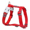 Harnais pour Chien Red Dingo Lisse 37-61 cm Rouge