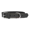 Collier pour Chien Gloria Oasis Noir (55 x 2,5 cm)