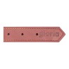 Collier pour Chien Gloria Oasis Rose (45 x 1,8 cm)