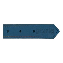 Collier pour Chien Gloria Oasis Bleu (50 x 2,1 cm)