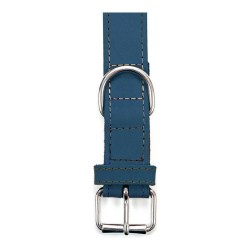 Collier pour Chien Gloria Oasis Bleu (55 x 2,5 cm)