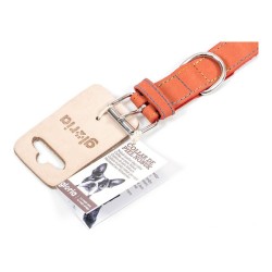 Collier pour Chien Gloria Oasis Rouge (50 x 2,1 cm)