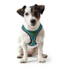 Harnais pour Chien Hunter Hilo Comfort 55-60 cm Taille M Turquoise