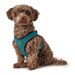 Harnais pour Chien Hunter Hilo Comfort 55-60 cm Taille M Turquoise