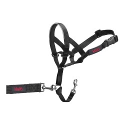 Collier d'entraînement pour chiens Company of Animals Halti Noir Muselière (40-54 cm)