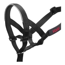 Collier d'entraînement pour chiens Company of Animals Halti Noir Muselière (40-54 cm)