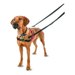 Harnais pour Chien Company of Animals Halti Noir/Rouge L (80-120 cm)