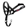 Collier d'entraînement pour chiens Company of Animals Halti Noir Muselière (35-48 cm)