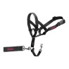 Collier d'entraînement pour chiens Company of Animals Halti Noir Muselière (35-48 cm)