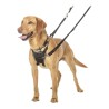 Harnais pour Chien Company of Animals Halti Taille M (34-56 cm)