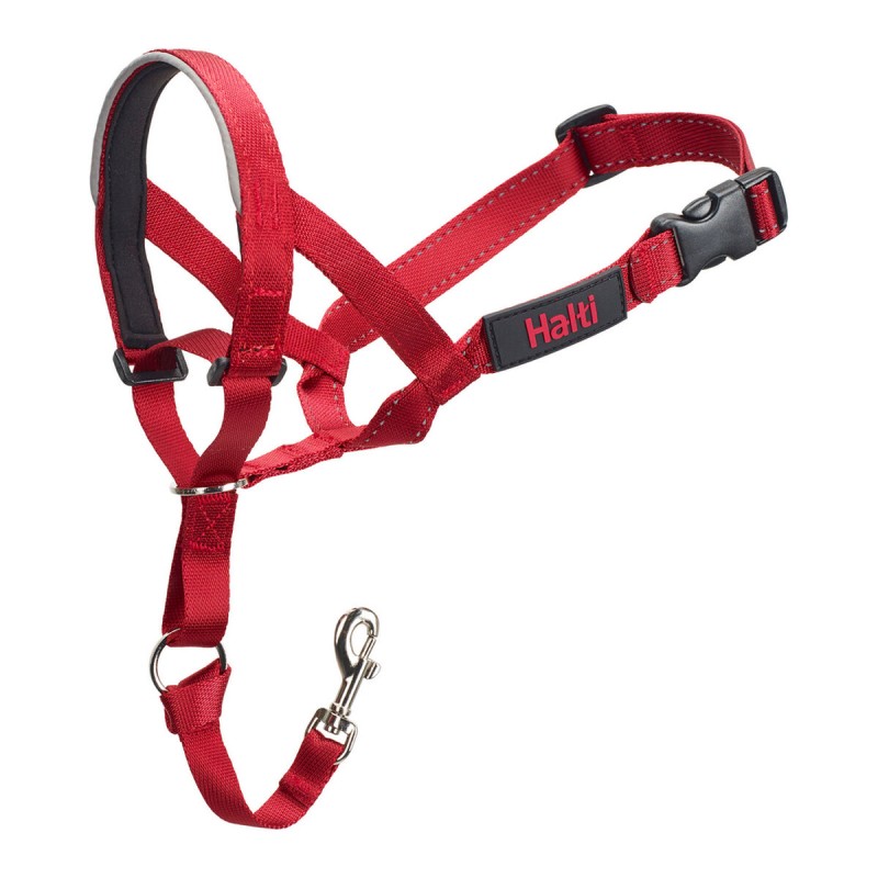 Collier d'entraînement pour chiens Company of Animals Halti Muselière (40-54 cm)