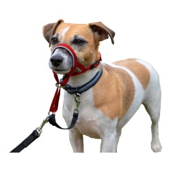 Collier d'entraînement pour chiens Company of Animals Halti Muselière (40-54 cm)