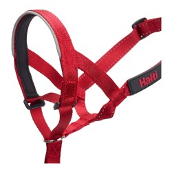 Collier d'entraînement pour chiens Company of Animals Halti Muselière (40-54 cm)