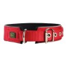 Collier pour Chien Hunter Neoprene Reflect Rouge (39-46 cm)