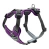 Harnais pour Chien Hunter Divo Violet L/XL 79-107 cm