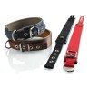 Collier pour Chien Hunter Neoprene Reflect Marron (39-46 cm)