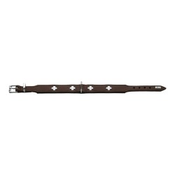 Collier pour Chien Hunter Swiss 38-43.5 cm