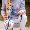 Collier pour Chien Stitch XXS/XS Bleu foncé