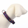 Collier pour Chien DC Pets Bleu M/L