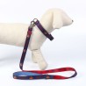 Collier pour Chien DC Pets Bleu M/L