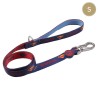 Laisse pour Chien DC Pets Bleu